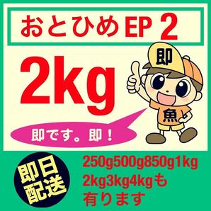 おとひめEP2 2kg入り 送料無料 ゆうパックにて発送しますの画像1