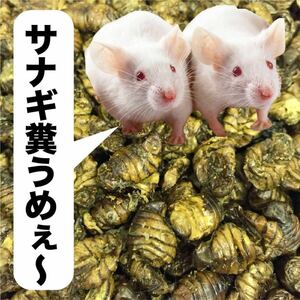 送料無料 お得用サイズ ネズミのおやつ 乾燥サナギ （カイコの蛹）600g タンパク質の補給に