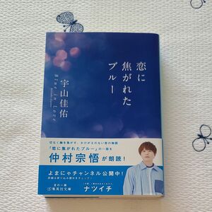 恋に焦がれたブルー （集英社文庫　う２３－５） 宇山佳佑／著