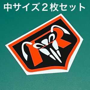 【中サイズ２枚組】カウルやスクリーンのカスタム等に♪ 仮面ライダー 立花レーシング サイクロン号 デカール（シール・ステッカー）