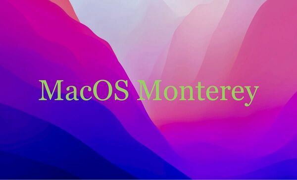 MacOS Catalina & Monterey インストールUSB