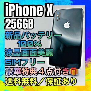 美品　iPhone X SpaceGray 256GB SIMフリー 大容量電池100%