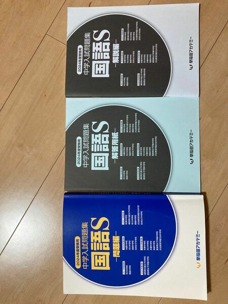 2024年度　早稲田アカデミー　国語S 入試問題集