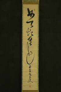 【模写】大徳寺　観宗和尚　S1989-134　掛軸　紙本　