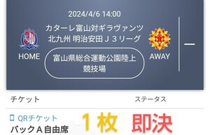 カターレ富山 VS ギラヴァンツ北九州 バックＡ自由席 チケット１枚 QRチケット ◆送料無料◆ チケット