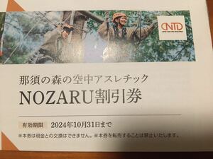 【送料無料】日本駐車場開発 NOZARU割引券 1枚