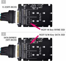 SATA M.2 SSD to SAS & NVMe M.2 NGFF SSD to U.2 SFF-8639 変換 アダプター 2 in 1 Combo Adapter_画像6