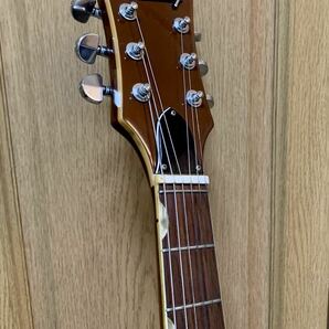 Honey AG-9? ハニー エレキギター ビザールギター 日本製 ジャパンビンテージ 改造品 の画像8