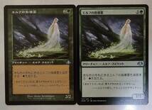 MTG ドミナリア・リマスター アンコモン エルフの指導霊 日本語版(1枚旧枠)まとめて2枚セット_画像1