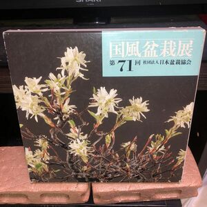 YP0419 国風盆栽展 第71回