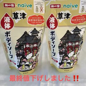 naive★植物性ナイーブ旅の宿ボディーソープ「草津・湯村温泉水」詰替用2個セット！