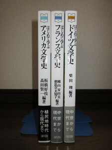 3冊　シリーズ・はじめて学ぶ文学史2～4　アメリカ文学史　フランス文学史　ドイツ文学史　使用感なく状態良好　カバーに擦れ・キズあり　