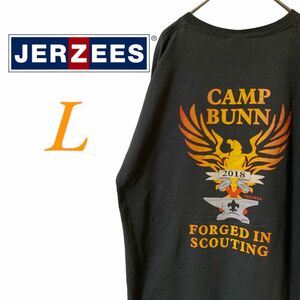 【US古着】jerzees ダークグレー L Tシャツ 半袖 レギュラーヴィンテージ プリント メンズ レディース