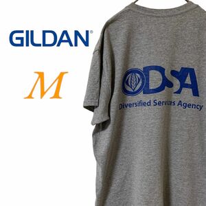 【US古着】GILDAN ギルダン グレー M Tシャツ 半袖 レギュラーヴィンテージ プリント メンズ レディース