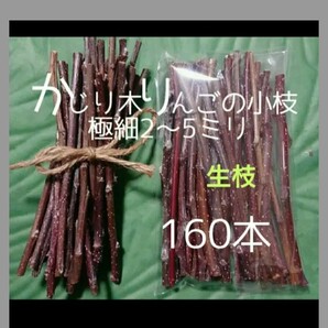 かじり木りんごの極細枝160本　生枝