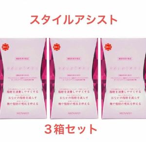 メナード　　　スタイルアシスト 27g（300mg×45粒×2袋）　