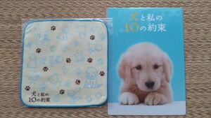 犬と私の10の約束 ミニタオルと下敷きセット 未開封品