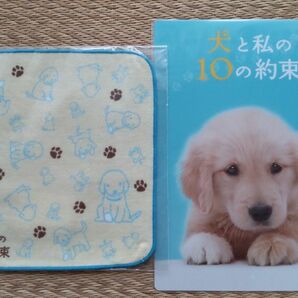 犬と私の10の約束 ミニタオルと下敷きセット 未開封品