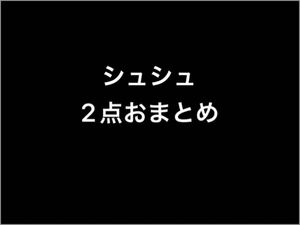 【売約済み】ミナペルホネン　ハンドメイド　シュシュ　547 548