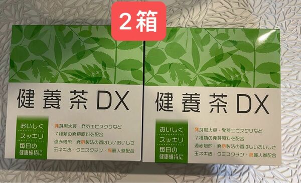 ★新入荷★★ナリス★健養茶DX 2箱