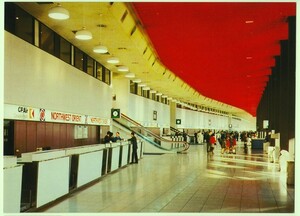 東京国際空港 羽田 国際線チケットカウンター カラー