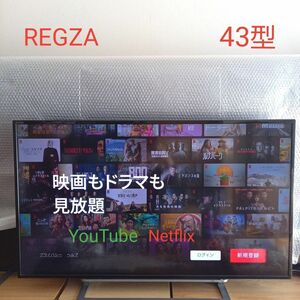 東芝 43V型 4K 液晶テレビ REGZA 43G20X 2番組同時録画対応　