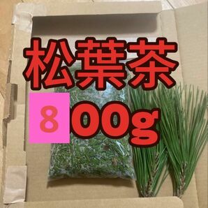 松葉茶　800g 即購入可　即日発送　朝取れ　農薬：栽培期間中不使用