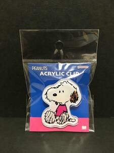 PEANUTS★スヌーピー　アクリルクリップ☆彡　アンディ☆　新品未開封品　サンスター文具　SNOOPY