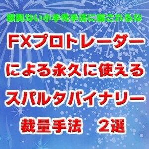 FXプロトレーダーが使うバイナリー手法を教えます masa4291