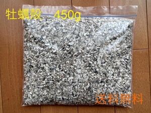 【フィード】牡蠣殻チップ　450g