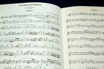 Moeckメック輸入リコーダー楽譜730【John Roberts-James：VARIATIONS ON DAPHNE OP. 5 】Zeitschrift fr Spielmusik/ジョン・ロバーツ_画像3