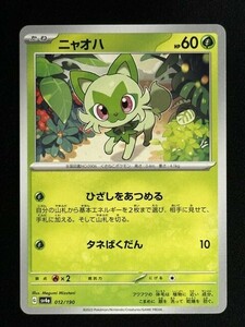 ニャオハ(ひざしをあつめる/型番不問）　ポケモンカード