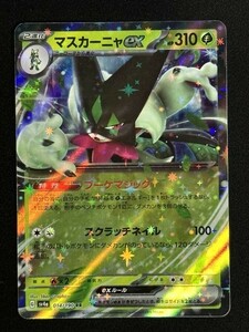 マスカーニャex　RR　シャイニートレジャーex　SV4a　ポケモンカード