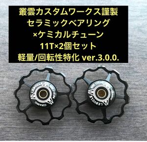 【回転性特化型】セラミックベアリング×ケミカルチューンプーリー　ver.3.0.0 11T 2個セット　叢雲カスタムワークス謹製