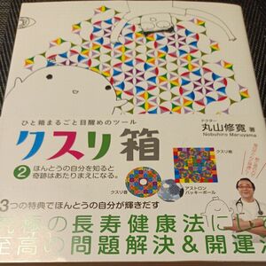 クスリ箱　ひと箱まるごと目醒めのツール　２ （ａｎｅｍｏｎｅ　ＢＯＯＫＳ　０２４） 丸山修寛／著