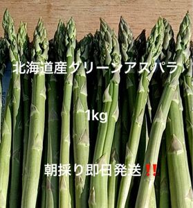 北海道産グリーンアスパラ 1kg