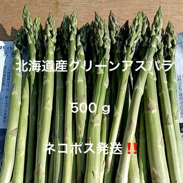 北海道産グリーンアスパラ 500ｇ