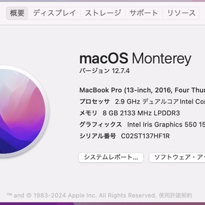 MacBook Pro (13-inch, 2016, Thunderbolt 3ポートx 4)の画像7