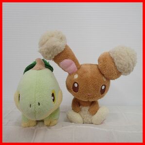 ∂ポケモンセンター ぬいぐるみ ピカチュウ/ロボピカチュウ/へんしんメタモン バニプッチ/ハクリュー 等 まとめて23点セット ポケセン【40の画像7