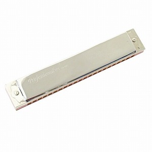 Неиспользованная Dragonfly Tombo Professional22 Professional 22 1722 Divide -tone Harmonica Hard -стиль C Silver 0327 Другие