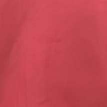 プーマ PUMA 胸 ロゴ 刺繍 プリント プルオーバー ナイロン トップス カットソー 長袖 スポーツウェア 赤 レッド 160 キッズ_画像5