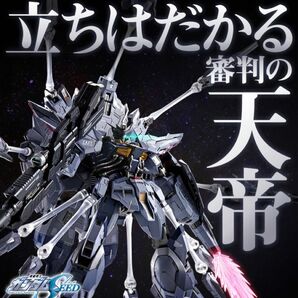 METAL BUILD メタルビルド プロヴィデンスガンダム 機動戦士ガンダムSEED プレミアムバンダイ BANDAI