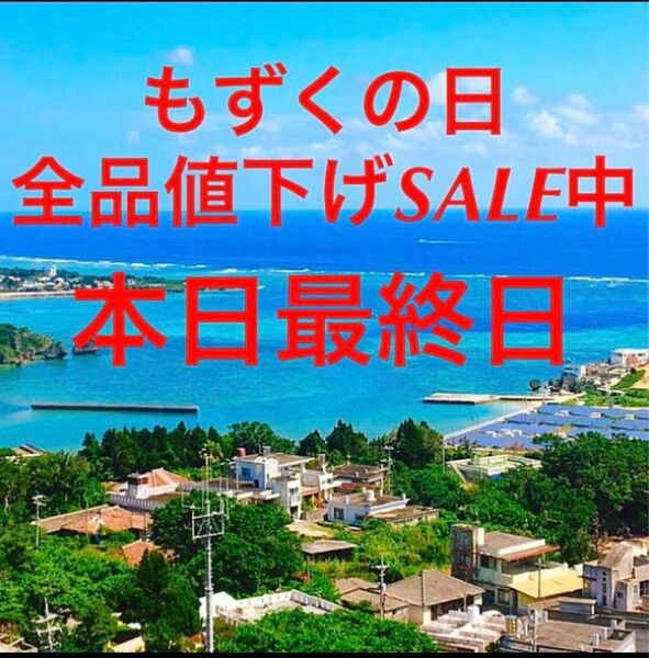 SALE最終日　漁師直送　早摘もずく3キロ　塩蔵　送料無料　特産品　お土産にも　採れたて