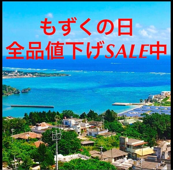 ☆SALE☆ 収穫したばかり　漁師直送　早摘もずく3キロ　塩蔵　送料無料　特産品　お土産