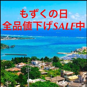 ☆SALE中☆ 採れたて　生産者直送　早摘もずく1キロ　塩蔵　送料無料　特産品