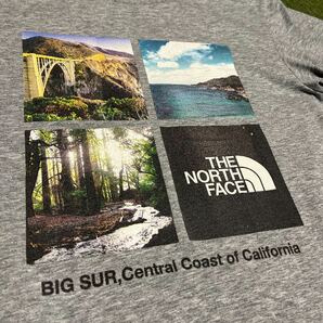 送料無料 ノースフェイス Tシャツ 半袖 XL グレーNORTH FACE の画像4