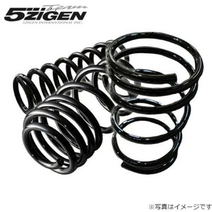 5次元 ダウンサス トヨタ アリスト JZS161 スプリング ローダウンコイルスプリング 5G-COIL-DOWN 5GTD026