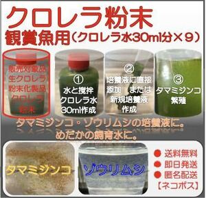 生クロレラ粉末化商品 クロレラ水30ml分×9 タマミジンコ ワムシ ゾウリムシ培養 めだか飼育水 グリーンウォーター ビール酵母 取り扱い