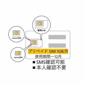 データ通信 1 GB/月　SMS確認可能　SIMカード　プリペイドSIM