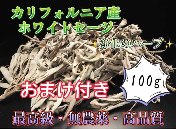 最安値 ホワイトセージ お香 枝付 リーフ浄化 カリフォルニア産 高品質 100g